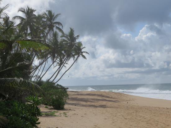Ishitha Homestay Tangalle Exterior foto